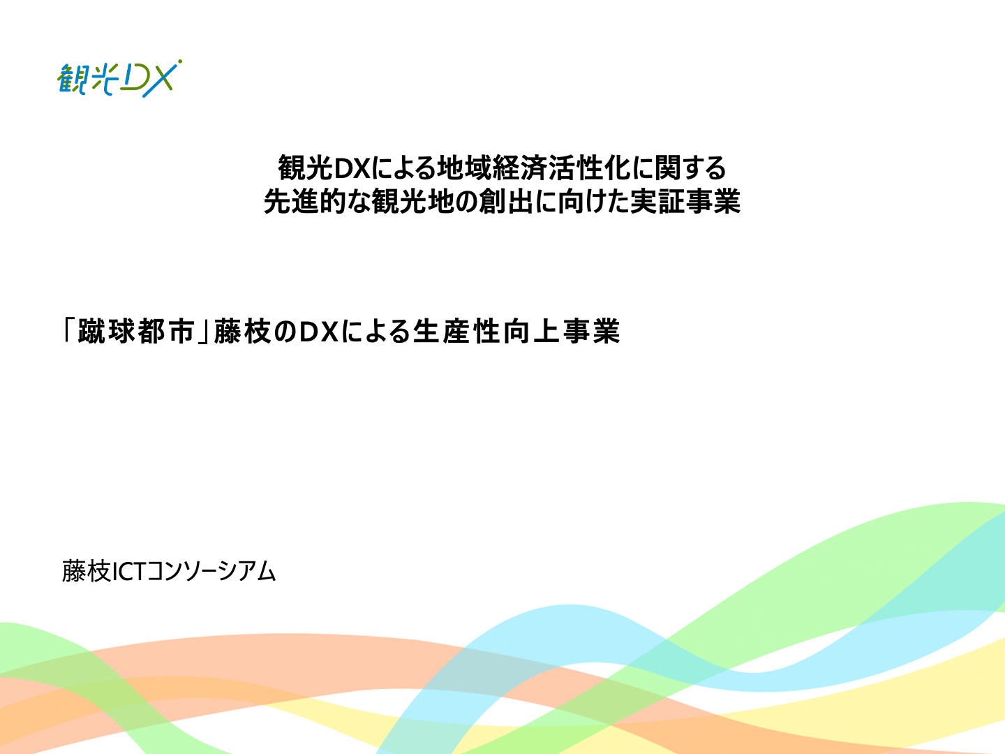 document_title