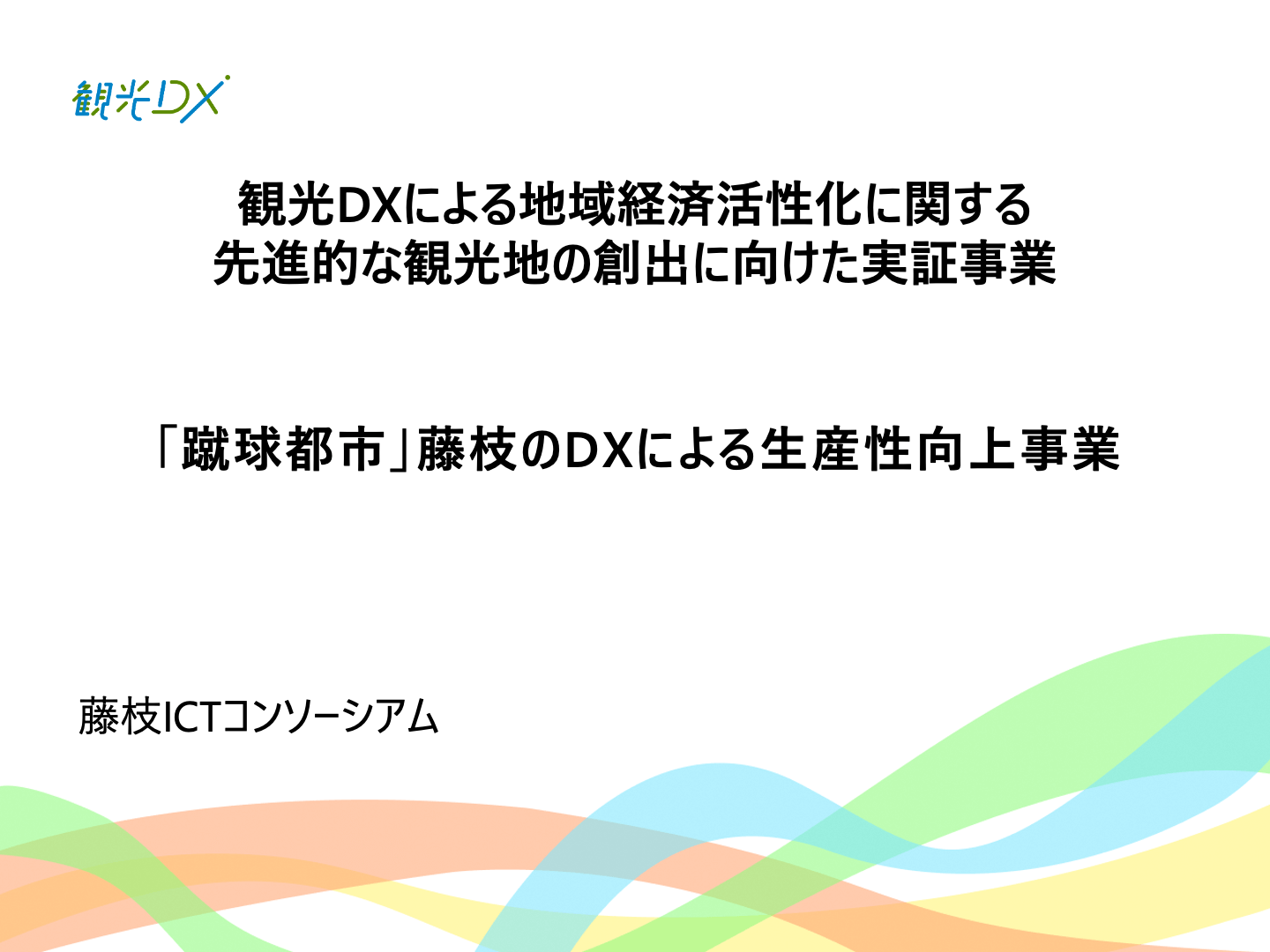 document_title